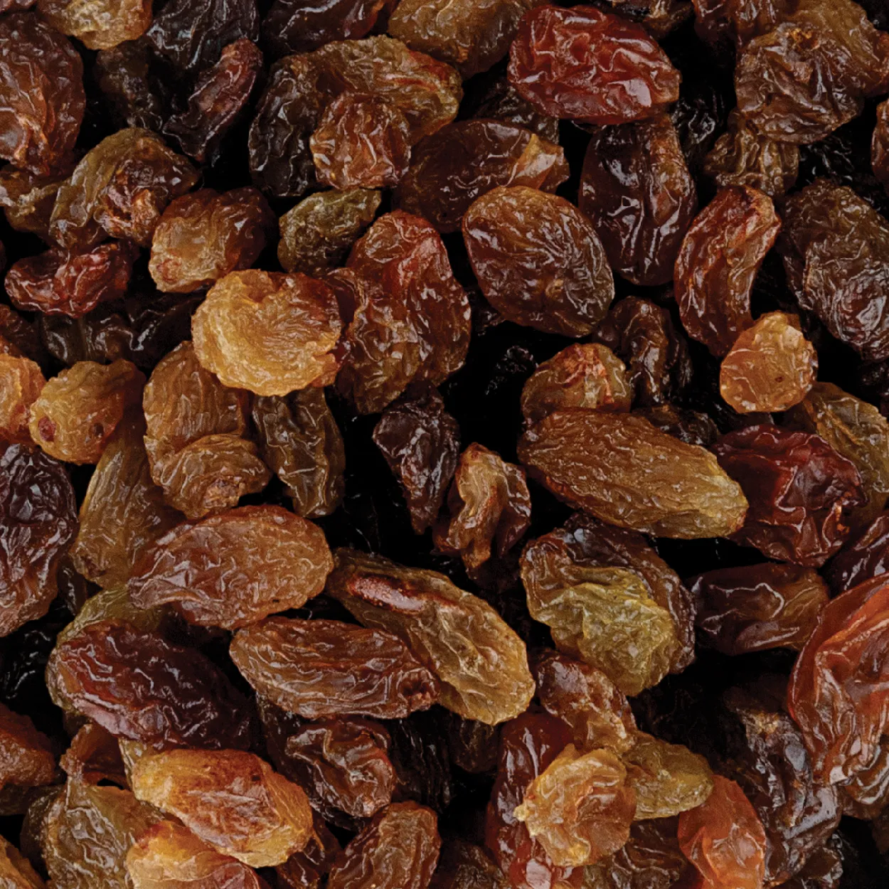 No.1 raisins supplier in india